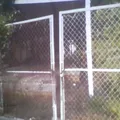 Doroteo Arango