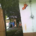 Luz del Saber