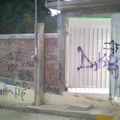 Ma Dolores Rivero Baños