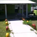Valentin Gomez Farias