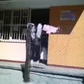 Jose Vasconcelos