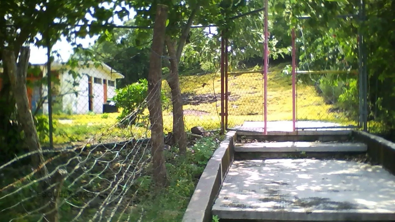 Maria Montessori Entrada