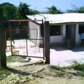 Wilfrido Massieu