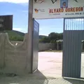 Alvaro Obregon