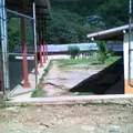 Jose Vasconcelos
