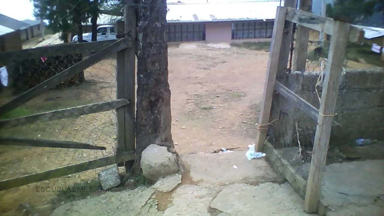 Xicotencatl Entrada
