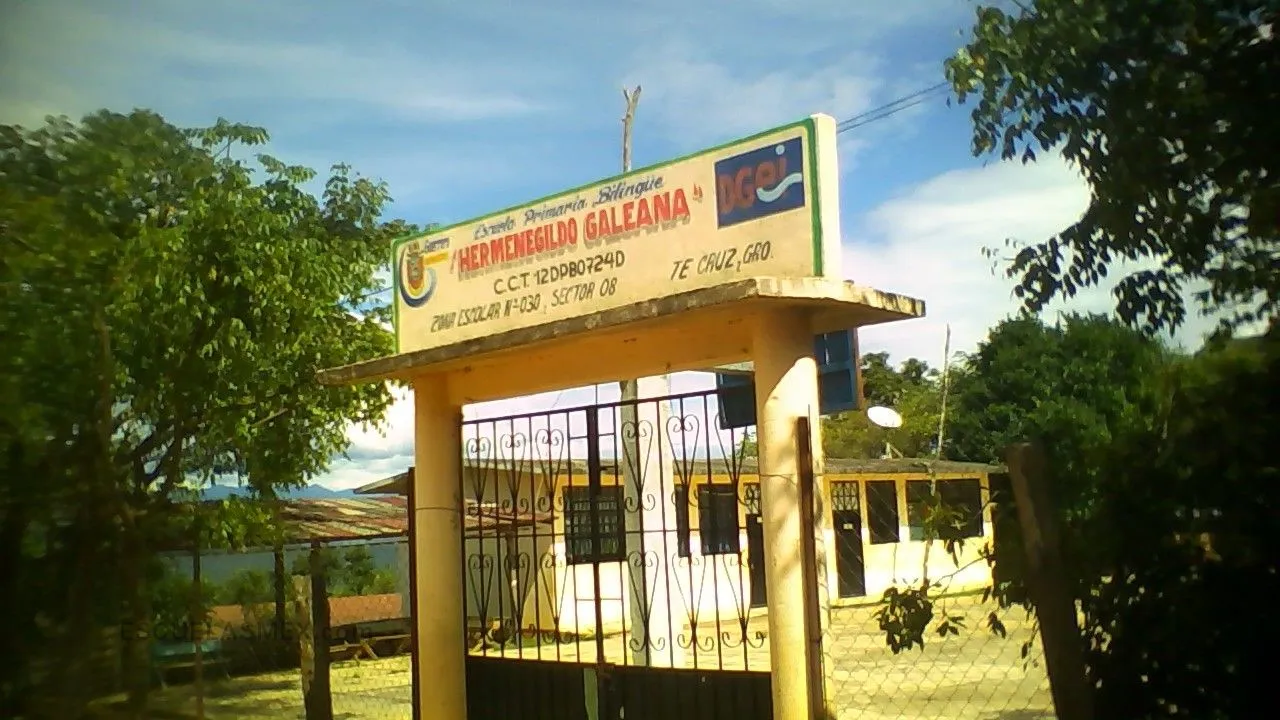 Hermenegildo Galeana Entrada