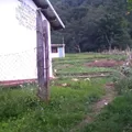 Netzahualcoyotl