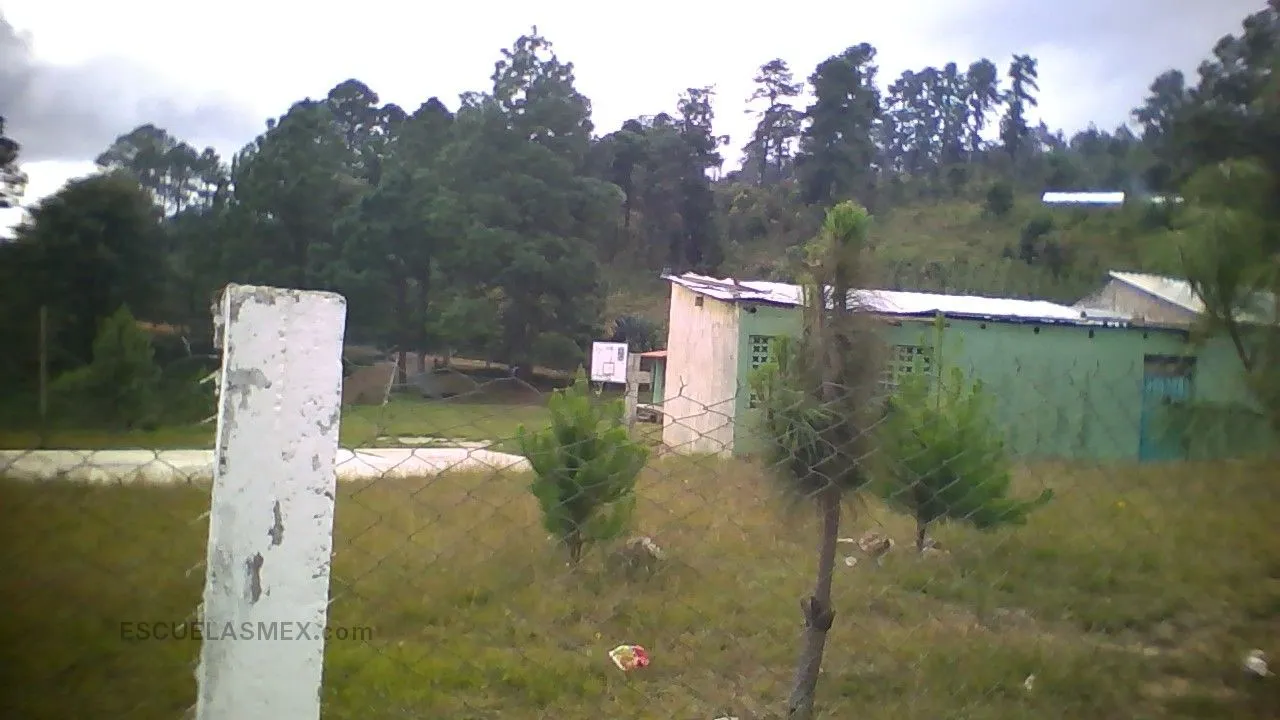 Cuitlahuac Entrada