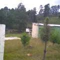 Cuitlahuac