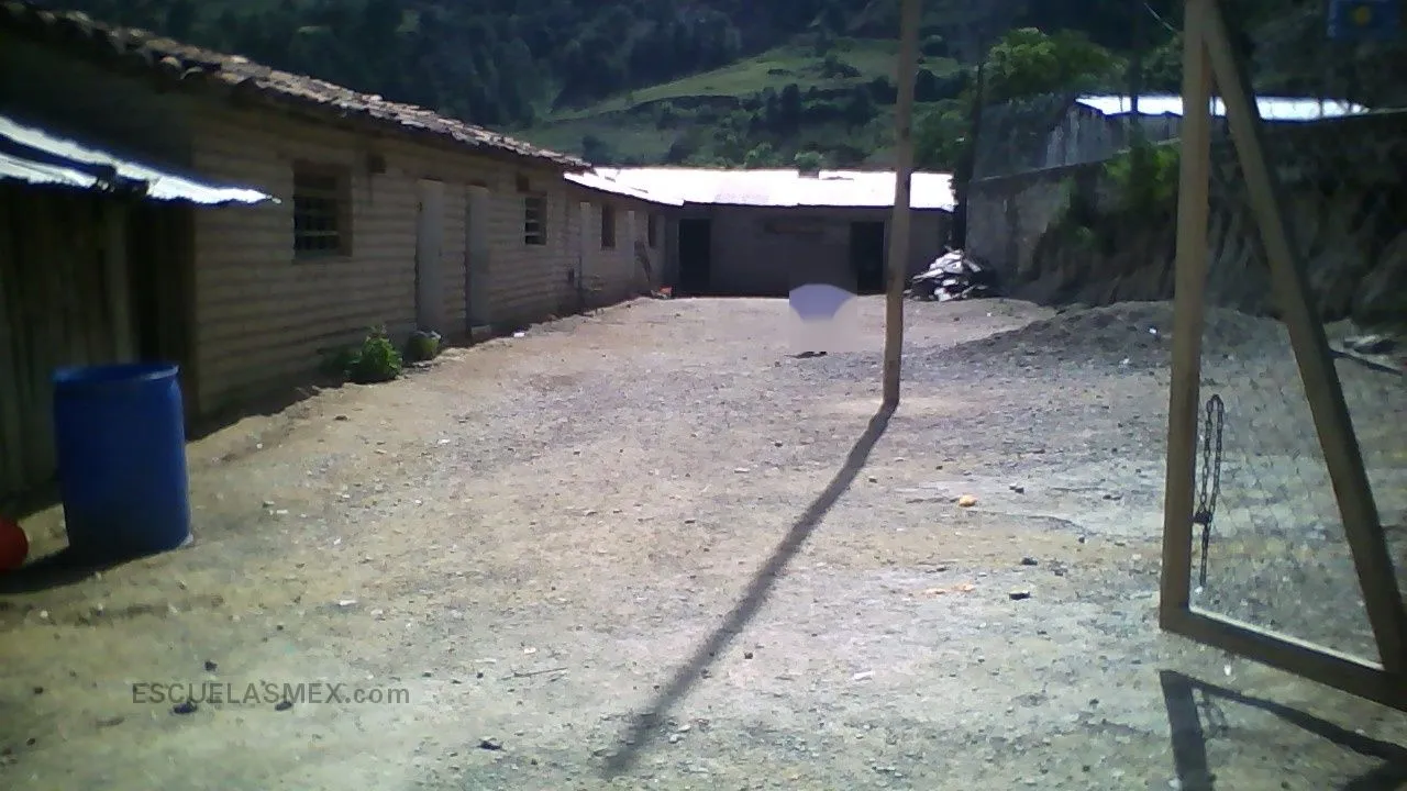 Othon Salazar Ramirez Entrada