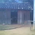 Mi Patria Es Primero