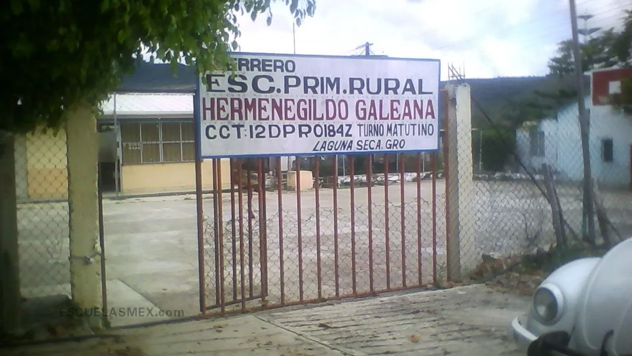 Hermenegildo Galeana Entrada