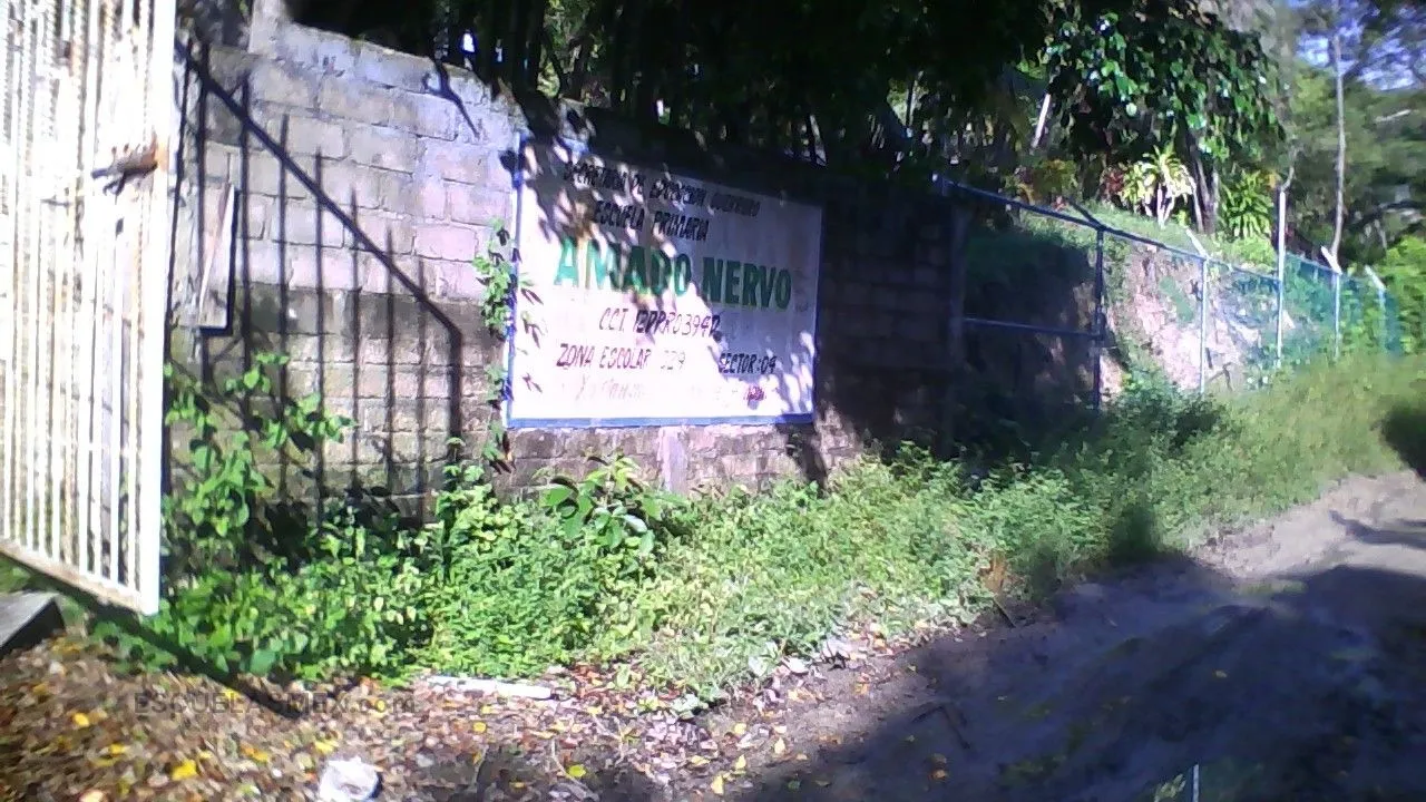 Amado Nervo Entrada