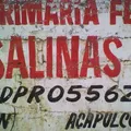 Nicolas Salinas Sotelo