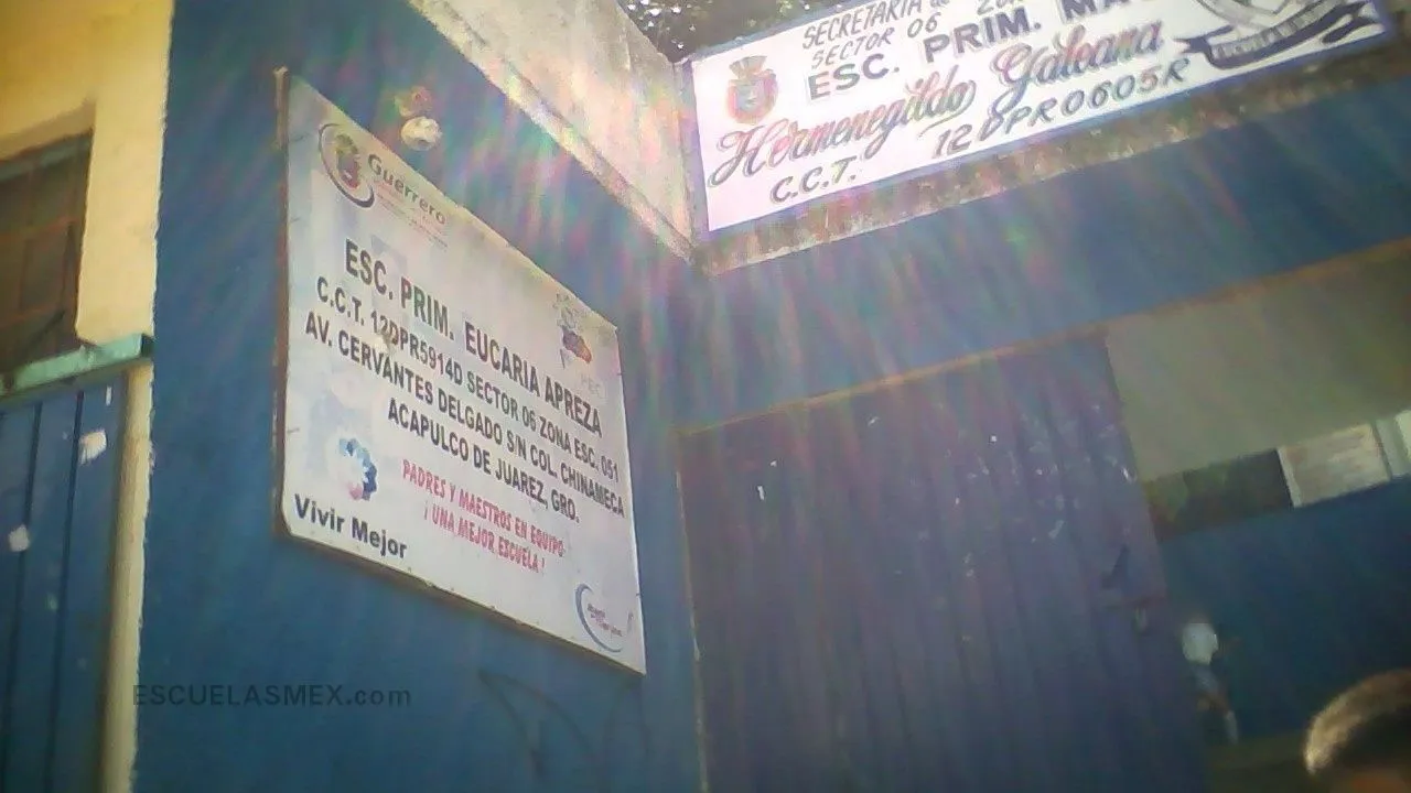 Hermenegildo Galeana Entrada