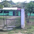 Ignacio M Altamirano