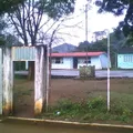 Alfredo V Bonfil