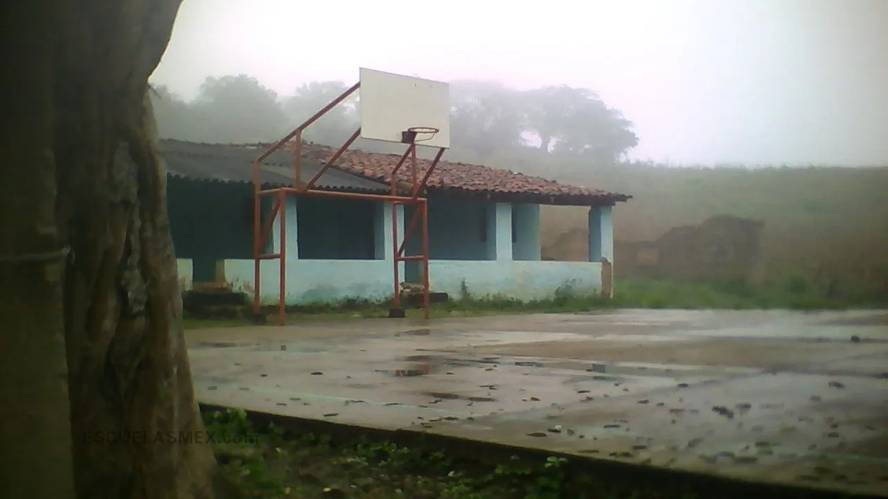 Ignacio Lopez Rayon Entrada