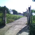 Justo Sierra
