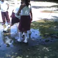 Sor Juana Ines de la Cruz