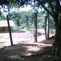 Justo Sierra