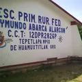 Raymundo Abarca Alarcon