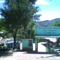 Vicente Guerrero