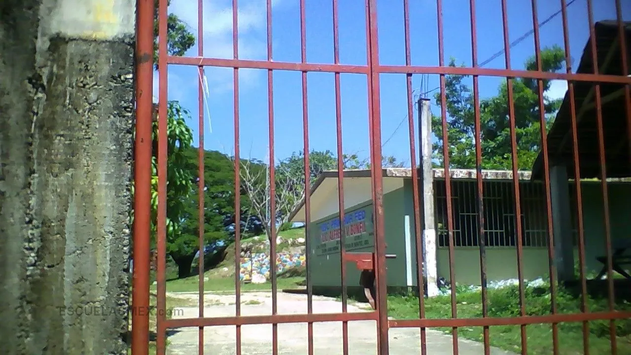 Alfredo V Bonfil Entrada