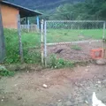 Plutarco Elias Calles