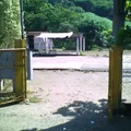 Lazaro Cardenas