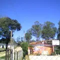 Netzahualcoyotl