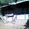 Luis Donaldo Colosio Murrieta