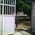 Jesus H Salgado