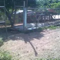 Luis Donaldo Colosio Murrieta