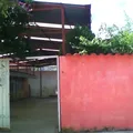 Jesus Leon Delgado