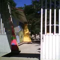 Graciela Rocha