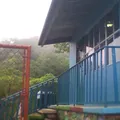 Francisco Marquez