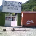 Vicente Guerrero