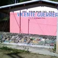 Vicente Guerrero