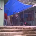 Justo Sierra