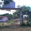 Vicente Guerrero