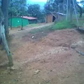 Curso Comunitario de Educacion Preescolar Indigena