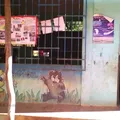 Curso Comunitario de Educacion Preescolar