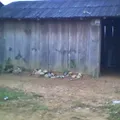 Curso Comunitario de Educacion Primaria Indigena