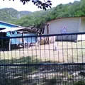 Curso Comunitario de Educacion Primaria Indigena