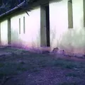 Curso Comunitario Educacion Primaria Indigena