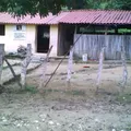 Curso Comunitario