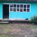 Primaria Comunitaria