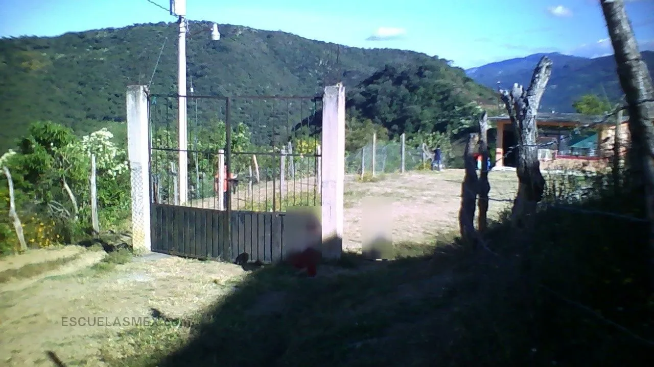 Curso Comunitario Entrada